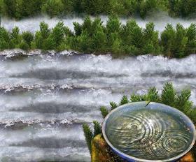 bowl water photomontage