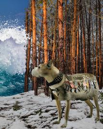 photomontage stubby remains